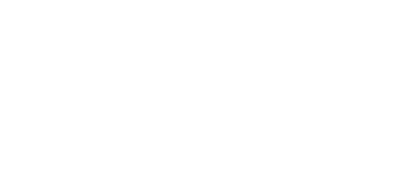 newland-travel-logo