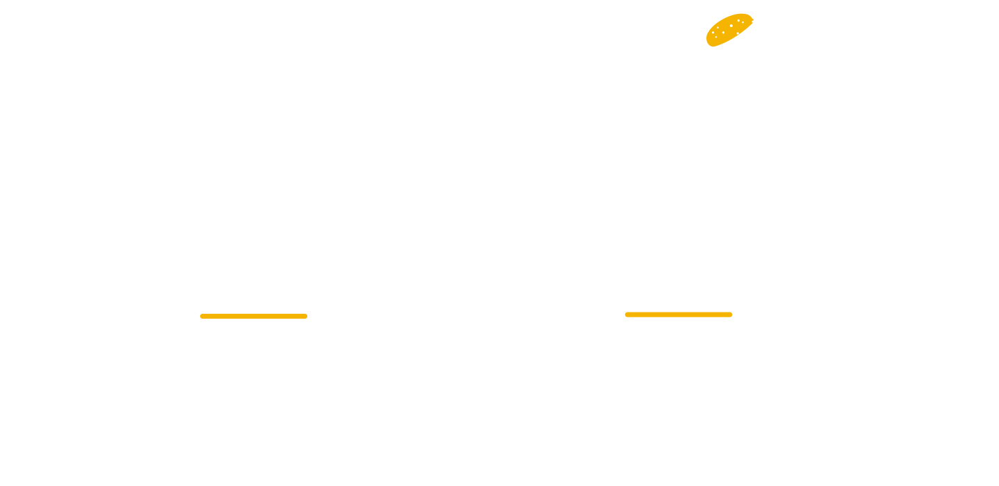 nt_logo_26_jul